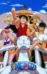 One Piece 1105