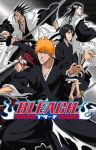 Bleach 74