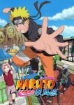 Naruto: Shippuuden 25